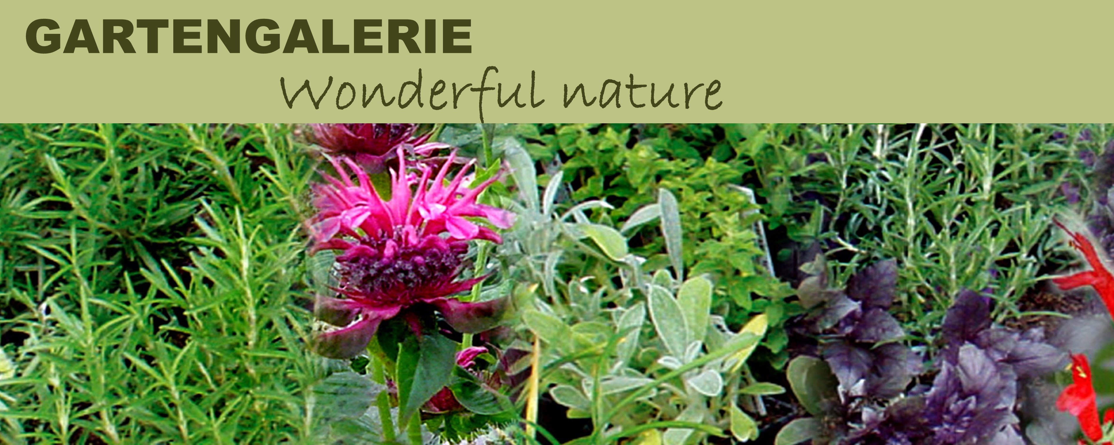 Wonderful Nature Garden